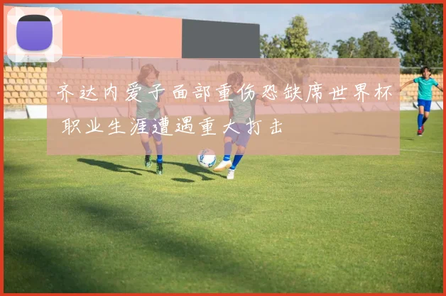 齐达内爱子面部重伤恐缺席世界杯 职业生涯遭遇重大打击