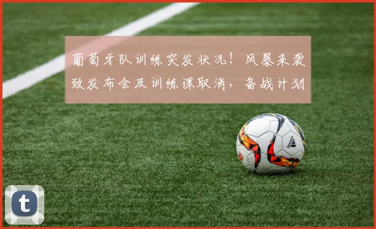 葡萄牙队训练突发状况！风暴来袭致发布会及训练课取消，备战计划受影响