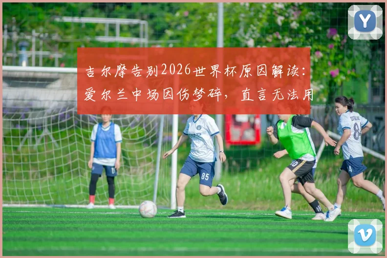吉尔摩告别2026世界杯原因解读：爱尔兰中场因伤梦碎，直言无法用言语形容此刻感受